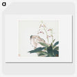 1-8_Ju-Lian_picture