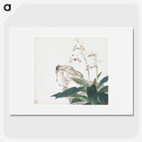 1-8_Ju-Lian_picture
