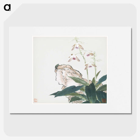 1-8_Ju-Lian_picture