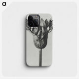 1-8_Karl-Blossfeldt_phone