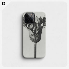 1-8_Karl-Blossfeldt_phone