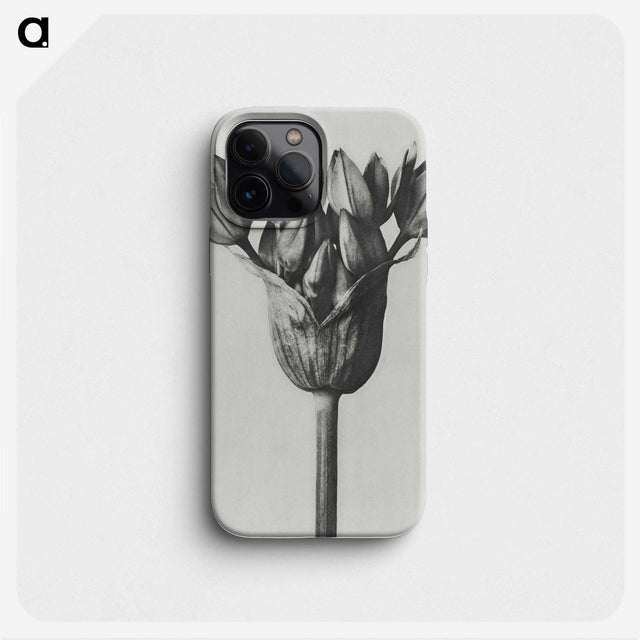 1-8_Karl-Blossfeldt_phone
