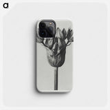 Allium Ostroroskianum - カール ブロスフェルト Phone Case.