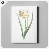 1-8_La-Botanique_canvas