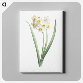 1-8_La-Botanique_canvas