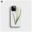 1-8_La-Botanique_phone