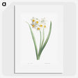 1-8_La-Botanique_picture