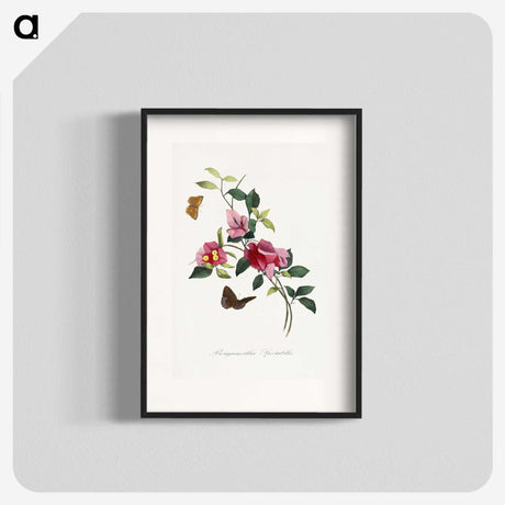 1-8_Le-Jardin-des-Plantes_blk