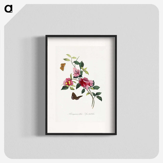 1-8_Le-Jardin-des-Plantes_blk