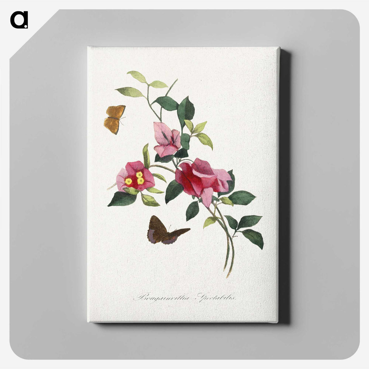 1-8_Le-Jardin-des-Plantes_canvas