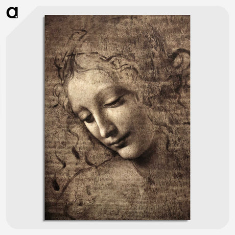 1-8_Leonardo-Da-Vinci_picture-crop