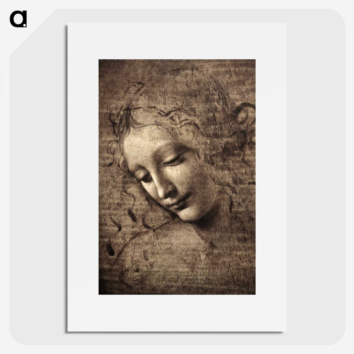 1-8_Leonardo-Da-Vinci_picture