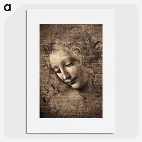 1-8_Leonardo-Da-Vinci_picture