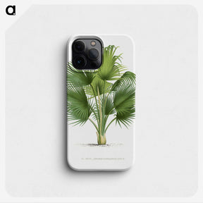 1-8_Les-Palmiers-Histoire-Iconographique_phone