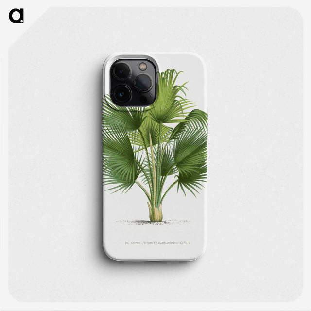 1-8_Les-Palmiers-Histoire-Iconographique_phone