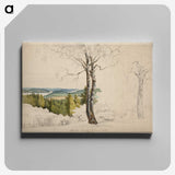 1-8_Magnus-von-Wright_canvas