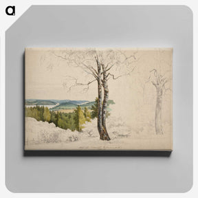 1-8_Magnus-von-Wright_canvas