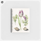 1-8_Maria-Sibylla-Merian_memo
