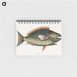1-8_Mark-Catesby_memo