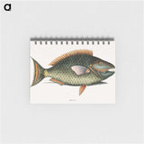 1-8_Mark-Catesby_memo