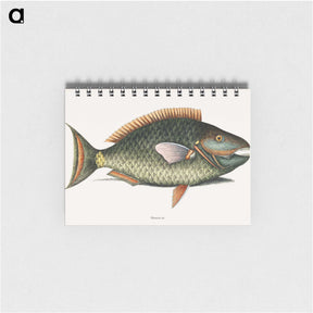1-8_Mark-Catesby_memo