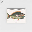アートメモ帳-Parrot Fish
 - マーク ケイツビー Memo.