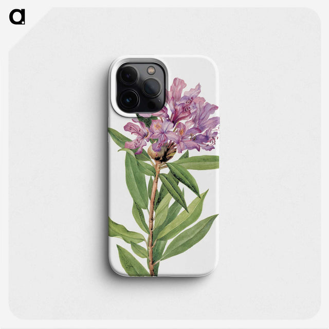 1-8_Mary-Vaux-Walcott_phone
