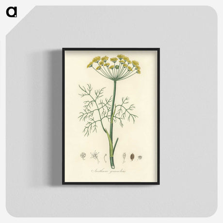 1-8_Medical-Botany_blk-crop