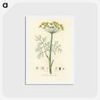 1-8_Medical-Botany_hagaki