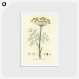 1-8_Medical-Botany_hagaki