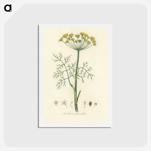 1-8_Medical-Botany_hagaki
