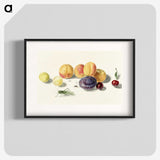 1-8_Michiel-van-Huysum_blk