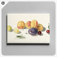 1-8_Michiel-van-Huysum_canvas