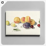1-8_Michiel-van-Huysum_canvas