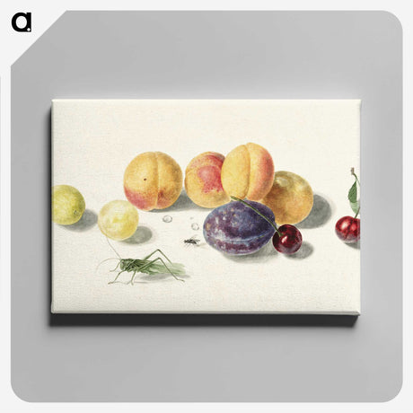 1-8_Michiel-van-Huysum_canvas
