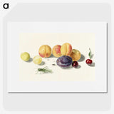 1-8_Michiel-van-Huysum_picture