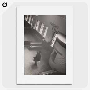 1-8_Milos-Dohnany_picture