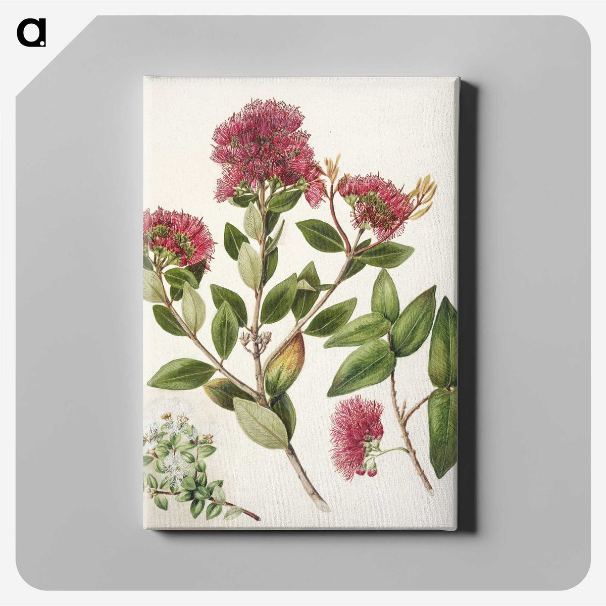 1-8_Native-Flowering-Plants-of-New-Zealand_canvas