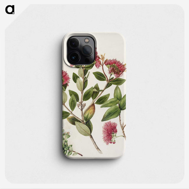 1-8_Native-Flowering-Plants-of-New-Zealand_phone