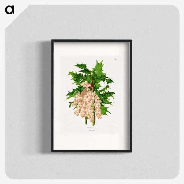 1-8_Nederlandsche-Flora-en-Pomona_blk