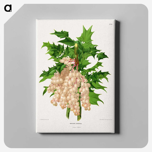 1-8_Nederlandsche-Flora-en-Pomona_canvas