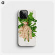 1-8_Nederlandsche-Flora-en-Pomona_phone