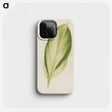 1-8_New-and-Rare-Beautiful-Leaved-Plants_phone