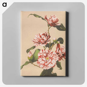 1-8_Ogawa-Kazumasa_canvas