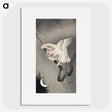 1-8_Ohara-Koson_picture