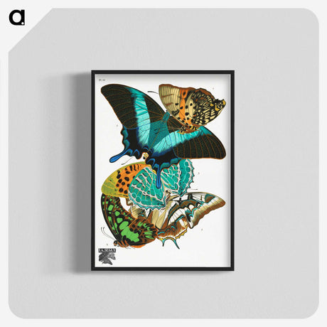 1-8_Papillons_blk-crop