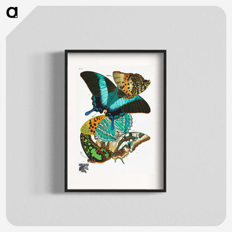 1-8_Papillons_blk