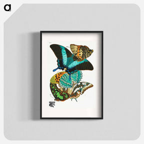 アートポスター-Vintage Butterflies
 - パピヨン Poster.