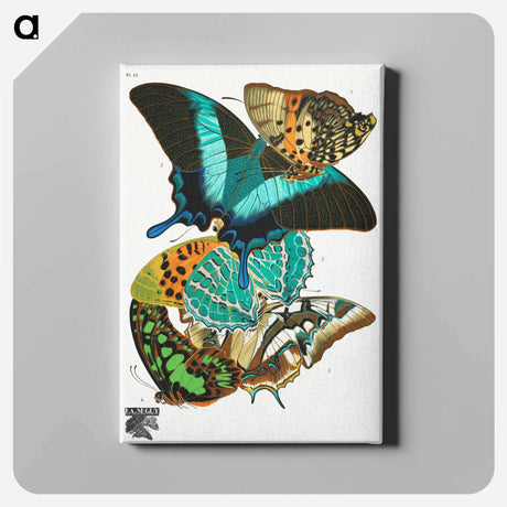 アートパネル-Vintage Butterflies
 - パピヨン Canvas.