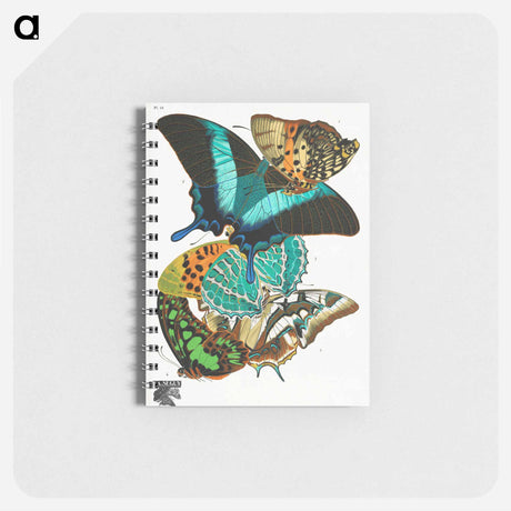 アートメモ帳-Vintage Butterflies
 - パピヨン Memo.